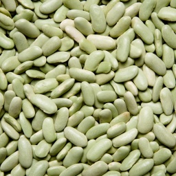 [0112] ALUBIA VERDINA