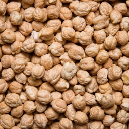 [0113] GARBANZO CASTELLANO